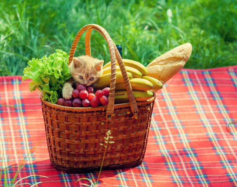 Fresh Fruits
